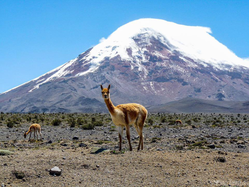 Ascension en Équateur