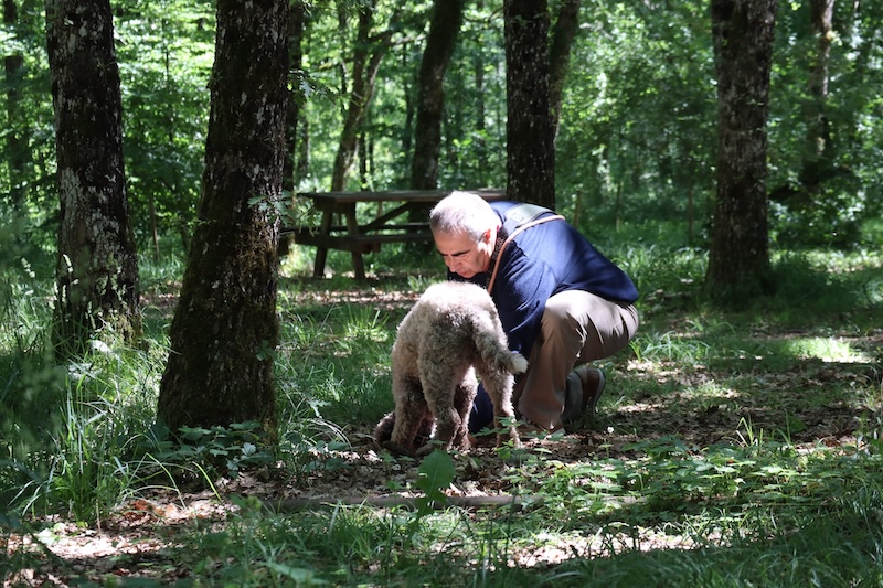 Maison aux Mille Truffes