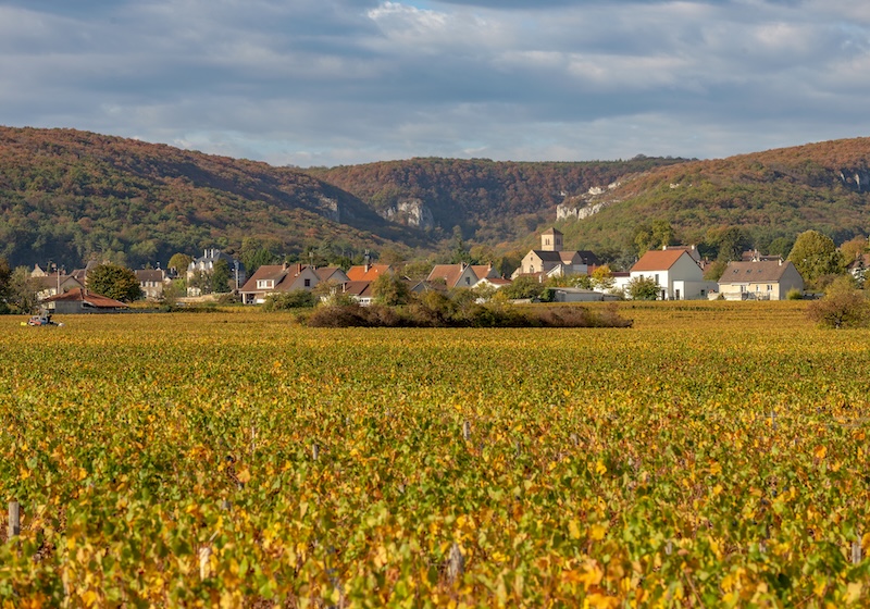 Vignobles de la Côte de Nuits